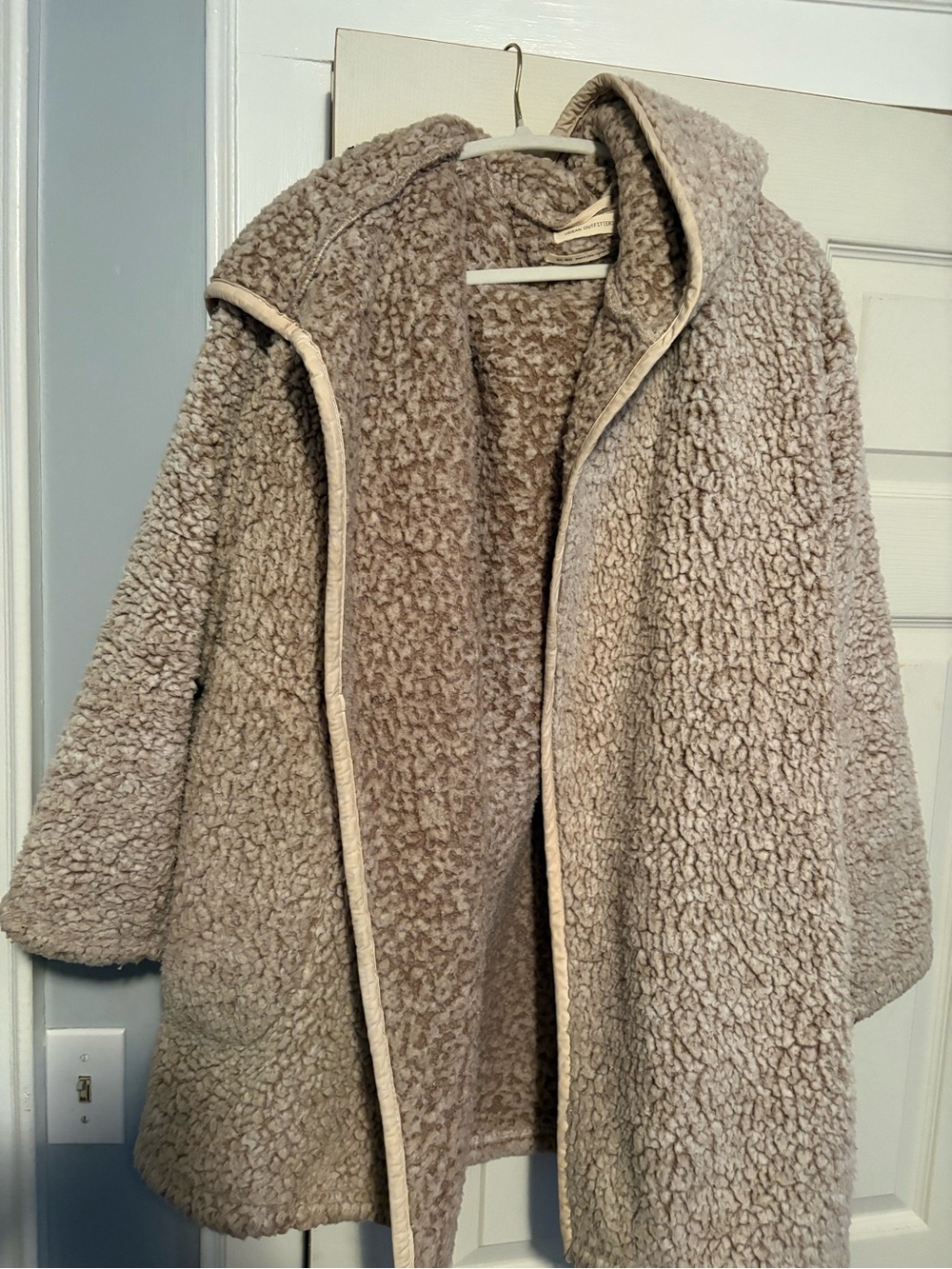 Urban Outfitters Plush Hooded Teddy Jacket in Taupe